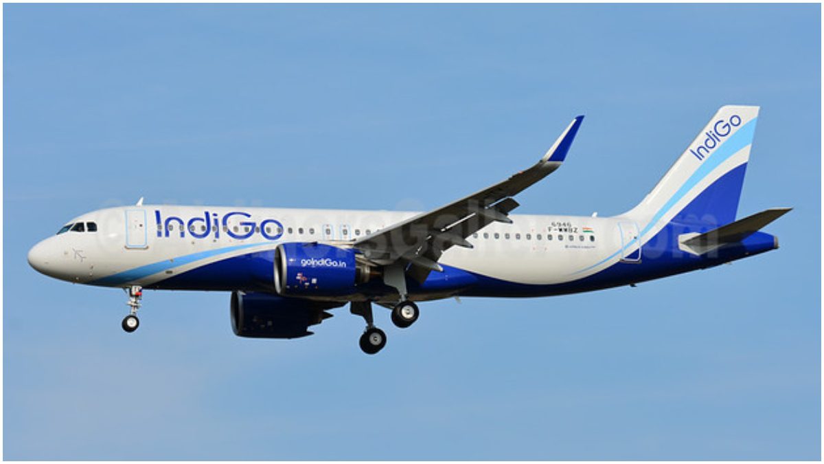 Indigo Flight