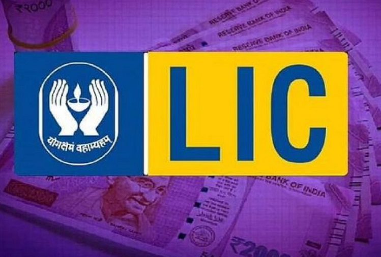 LIC Policy