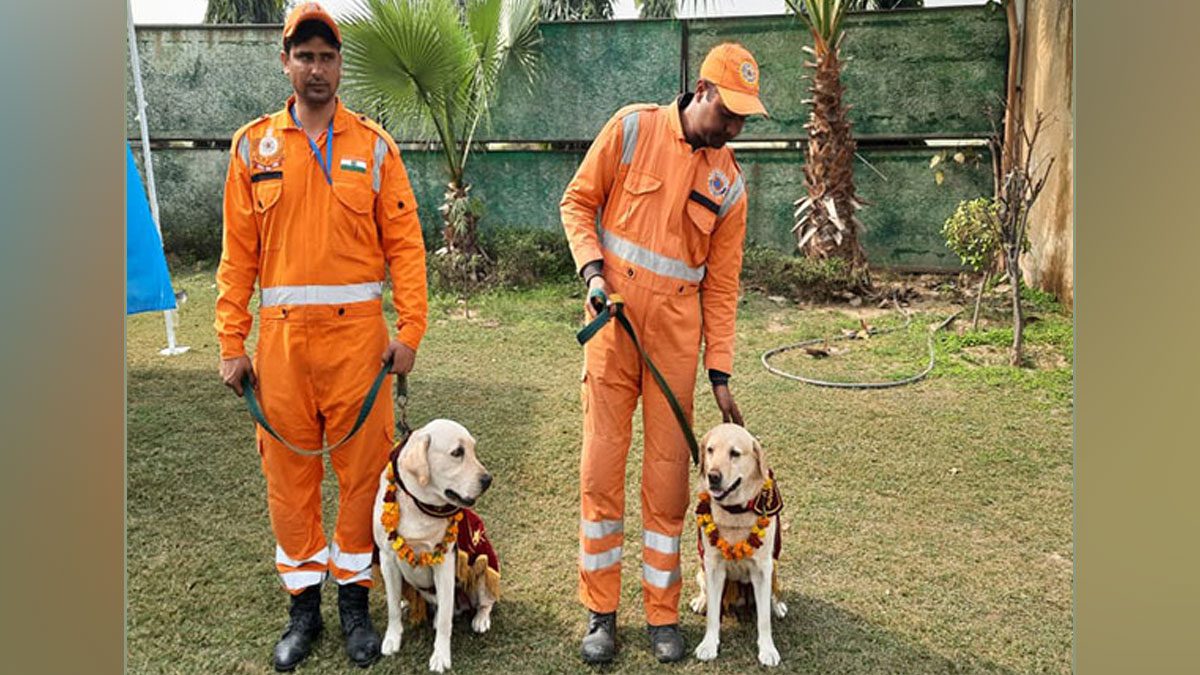 NDRF team return to India: 10 दिन के बचाव अभियान के बाद तुर्की से भारत लौटी NDRF की टीम और डॉग 1 NDRF team return to India