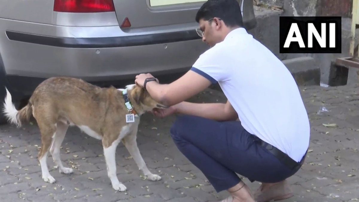 QR Code for Stray Animal