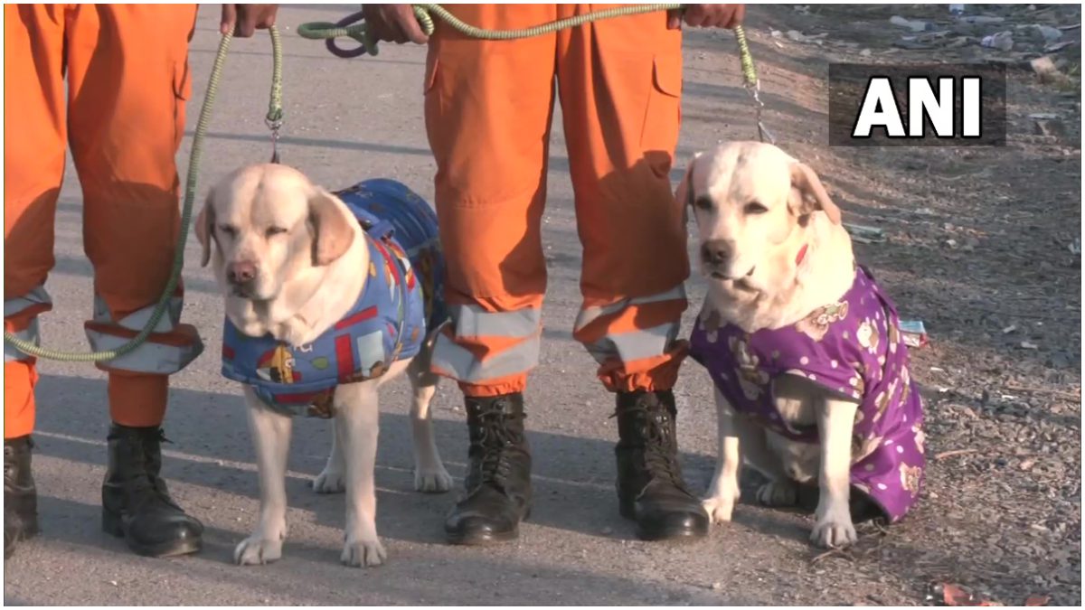 Turkey-Syria Earthquake