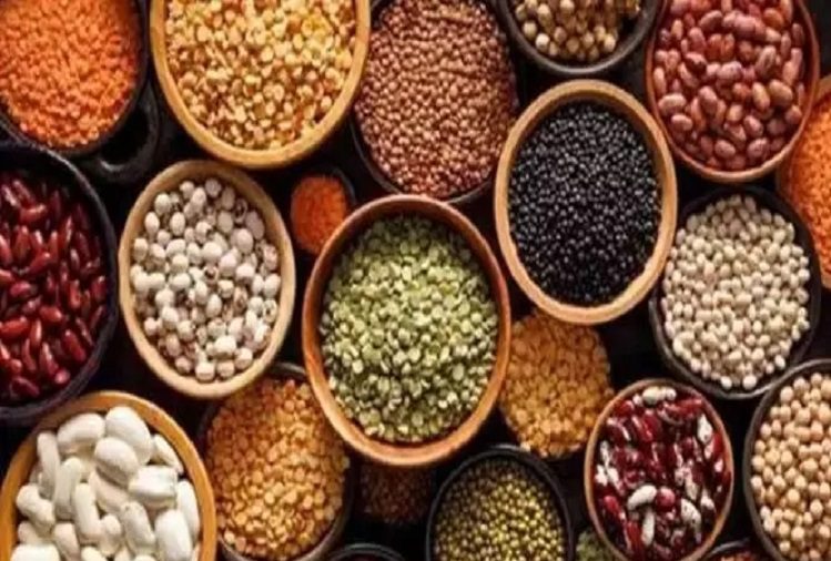 World Pulse Day 2023