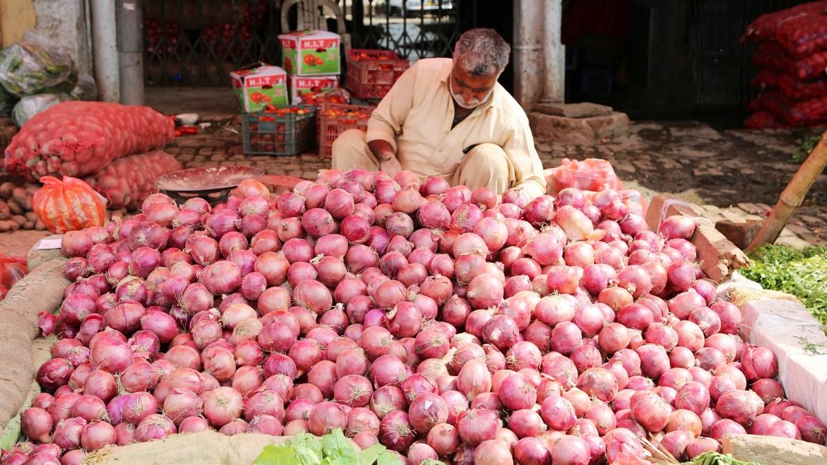 onion price low