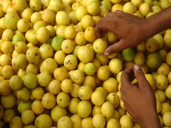 200 रुपए किलो पहुंचा नीबू का दाम, गर्मी शुरू होते ही महंगी होने लगी सब्जियां