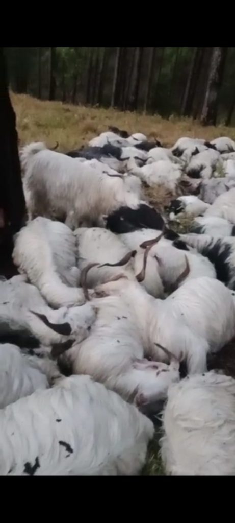 4c0484c3f700a3d53cb966bfb5ab6301