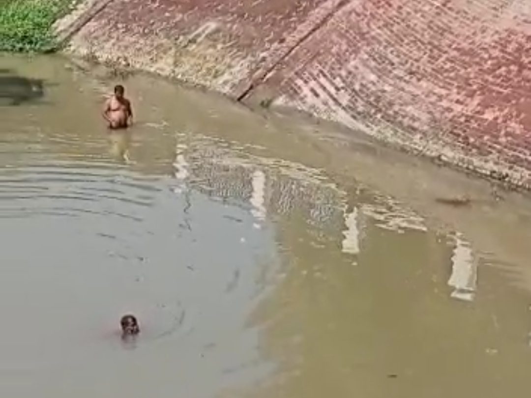 कपूरथला की कांजली वेटलैंड में कूदी महिला (The News Air) 1 the news air