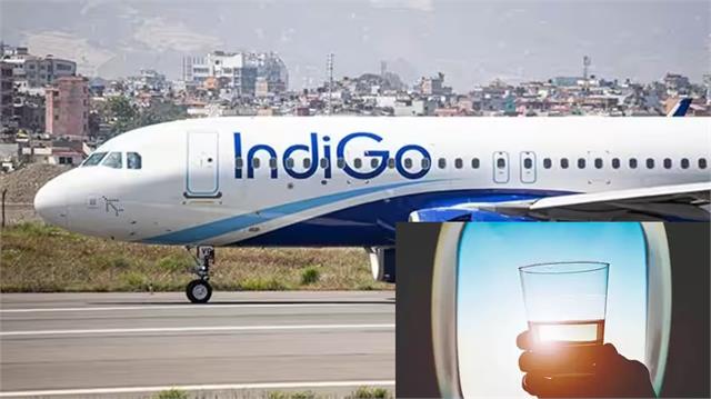 दुबई-मुंबई इंडिगो फ्लाइट में शराब के नशे में 2 यात्रियों ने हंगामा किया
