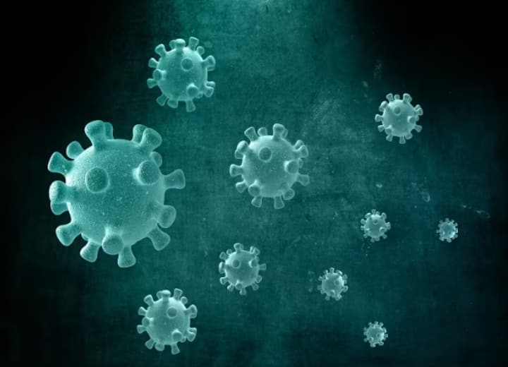 चीनी वैज्ञानिक का चौंकाने वाला दावा, इंसान ही कोविड वायरस को वुहान बाजार में लाया