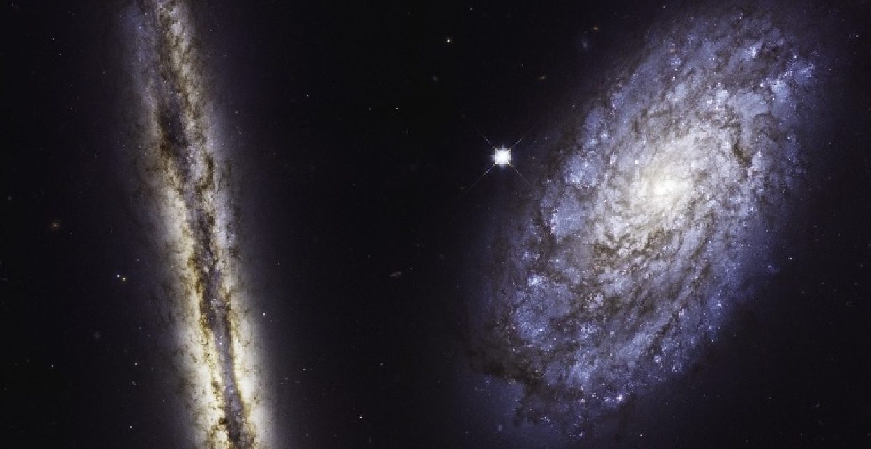 जुड़वां दोस्‍त