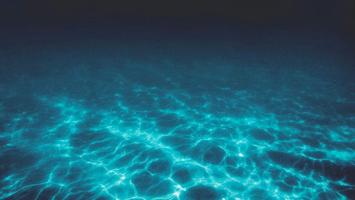 दुनिया की सबसे गहरे पानी में तैरने वाली मछली हुई कैमरे में कैद