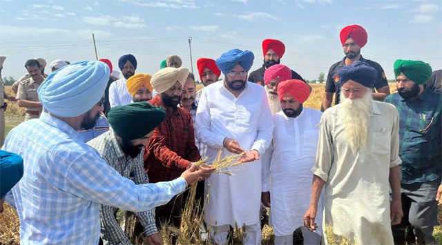 ओलावृष्टि