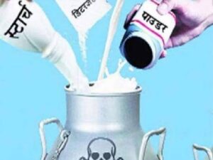 खाद्य पदार्थ में मिलावट मानव जीवन के लिए बड़ा खतरा 4 5 1