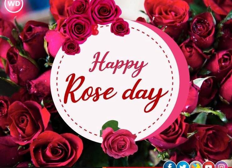 Rose Day से ही क्यों होती है वैलेंटाइन डे की शुरुआत?