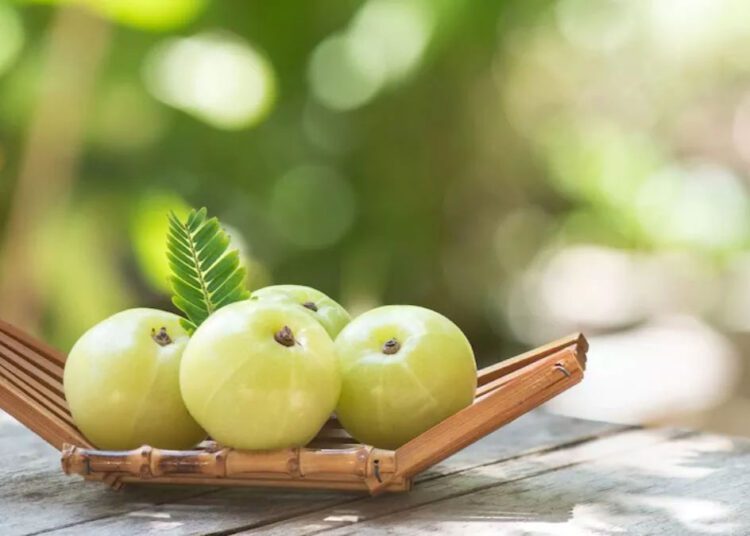 हर रोज एक आंवला का सेवन करने से जड़ से खत्म होते है ये कुछ रोग