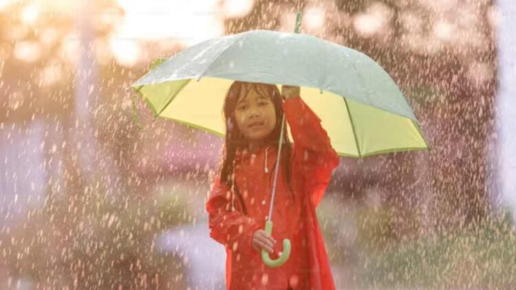 बारिश के पानी पर टैक्स! क्या है Rain Tax? जो जल्द होने वाला है लागू