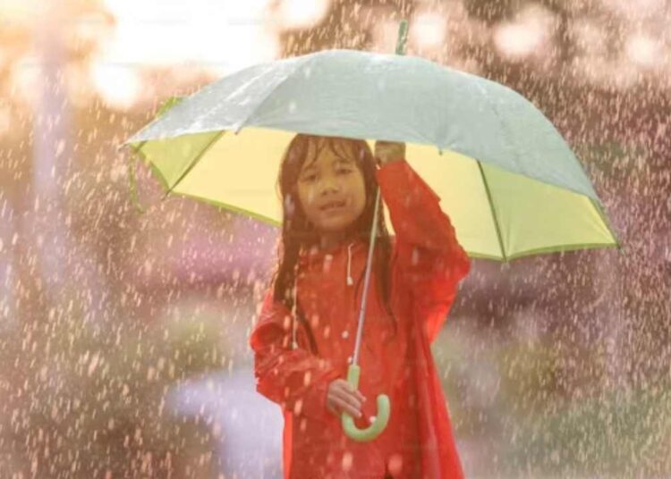 बारिश के पानी पर टैक्स! क्या है Rain Tax? जो जल्द होने वाला है लागू