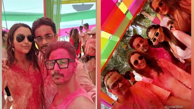 तृप्ति डिमरी