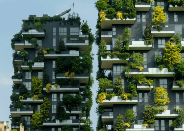 पर्यावरण समस्या