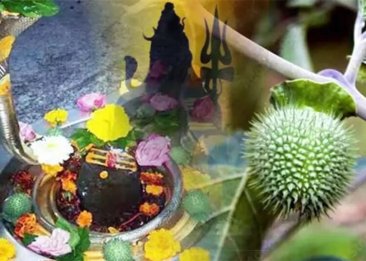 महाशिवरात्रि पर भोलेनाथ को कैसे करें प्रसन्न, जानें पूजा का विधान