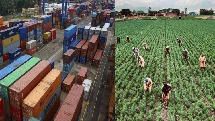 वैश्विक बाजार