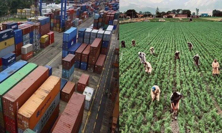 वैश्विक बाजार