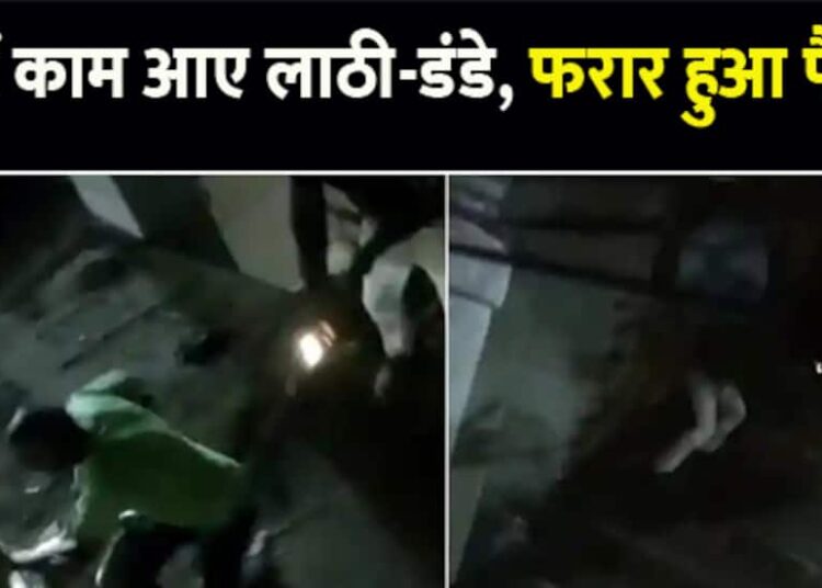 धौलपुर: लाठी-डंडे लेकर बैठे थे लोग, फिर भी चकमा देकर भागा छत पर बैठा पैंथर- Watch Video