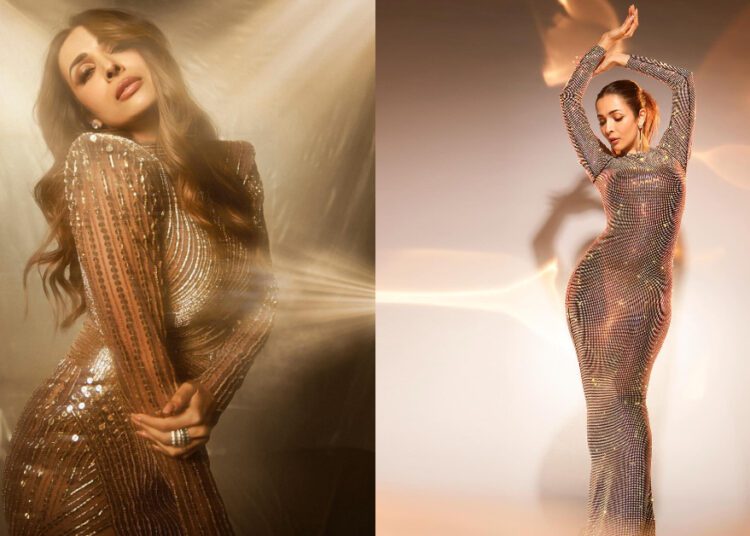 Malaika Arora Photos: अभिनेत्री के सिजलिंग लुक्स देख दंग रह जाएंगी आप, देखे तस्वीरें