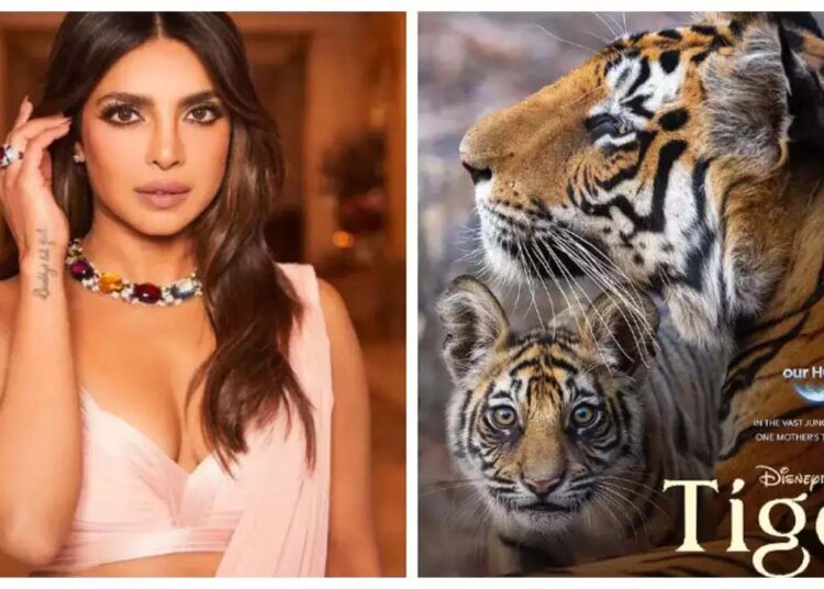 ‘टाइगर’ के जरिए जंगलों के रहस्यों को जानना शानदार अनुभव : Priyanka Chopra