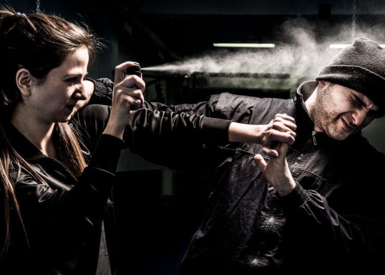 पेपर स्प्रे खतरनाक हथियार… कर्नाटक HC ने किस अमेरिकी केस का दिया हवाला? पढ़ें पूरा मामला