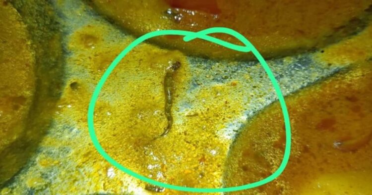 बिहार के इंजीनियरिंग कॉलेज में छात्रों को खिलाया मरा हुआ सांप, सड़ी हुई ब्रेड,