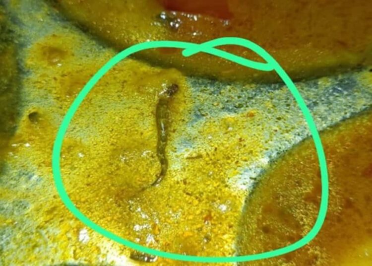 बिहार के इंजीनियरिंग कॉलेज में छात्रों को खिलाया मरा हुआ सांप, सड़ी हुई ब्रेड,