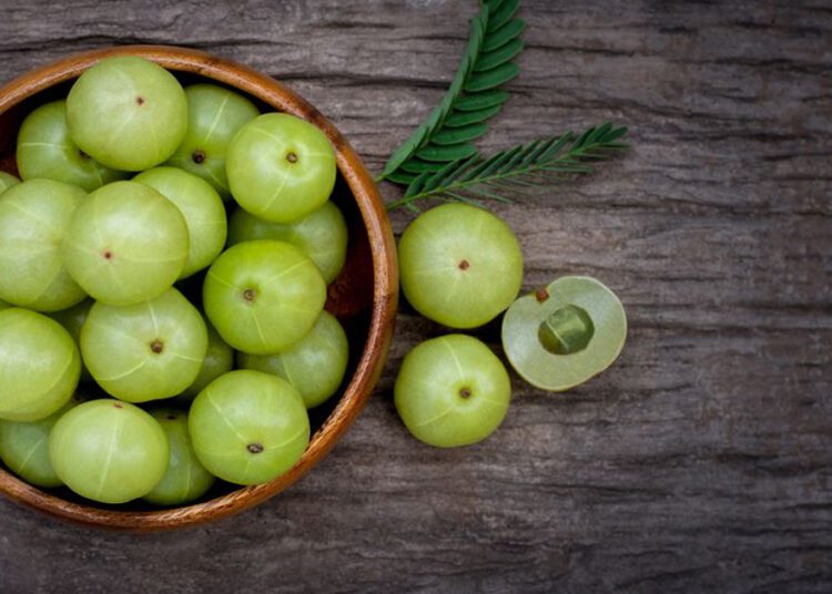 गर्मियों में रोजाना करें आंवले का सेवन, शरीर को मिलेंगे ये 5 शानदार फायदे