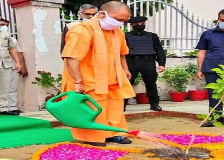 सीएम योगी ने ‘एक पेड़ अपनी मां के नाम’ लगाने का जनता से किया अनुरोध