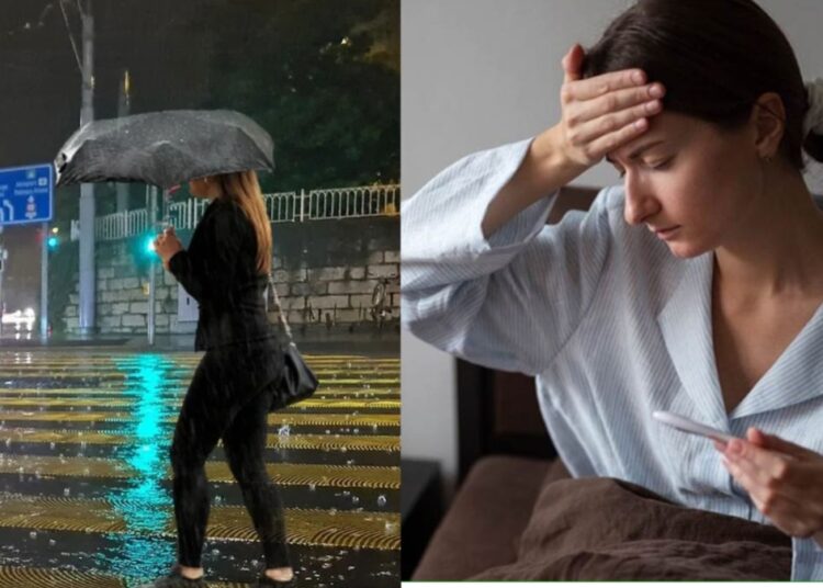 बारिश में डेंगू ही नहीं ये बीमारियां भी तेजी से फैलती हैं…डॉक्टर से जानें बचाव के बेहतरीन उपाय?