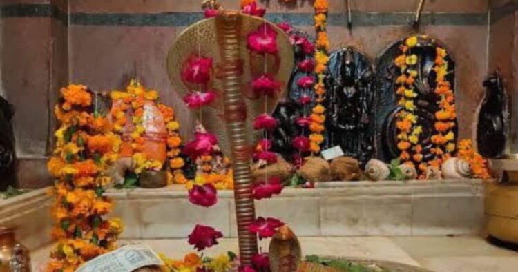 नाग देवता का ऐसा मंदिर, जहां अनूठे तरीके से किया जाता है सच और झूठ का फैसला 1 नाग देवता का ऐसा मंदिर, जहां अनूठे तरीके से किया जाता है सच और झूठ का फैसला