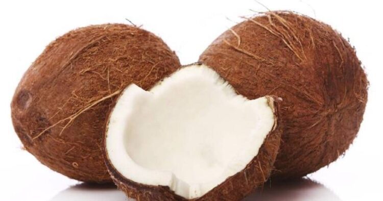 नारियल को कुछ इस तरह से करें स्टोर, 6 महीने तक रहेगा FRESH