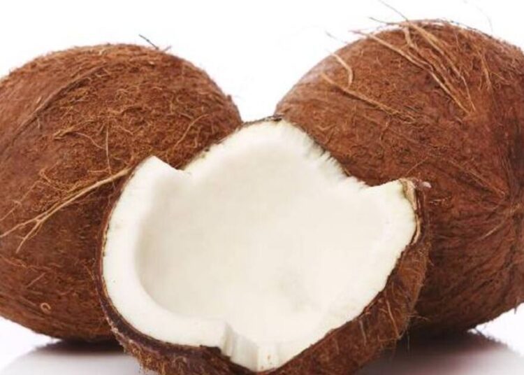 नारियल को कुछ इस तरह से करें स्टोर, 6 महीने तक रहेगा FRESH