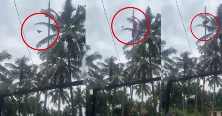 पक्षी ने पहराया तिरंगा, जानें क्या है इस वायरल वीडियो का सच 1 पक्षी ने पहराया तिरंगा, जानें क्या है इस वायरल वीडियो का सच