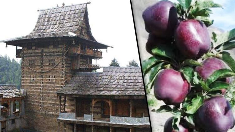 यहां जमीन के मालिक हैं अलग अलग देवता, लीज पर देते हैं खेत, करते हैं लाखों की कमाई