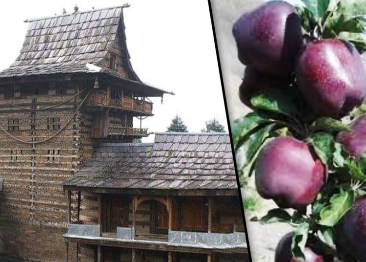 यहां जमीन के मालिक हैं अलग अलग देवता, लीज पर देते हैं खेत, करते हैं लाखों की कमाई