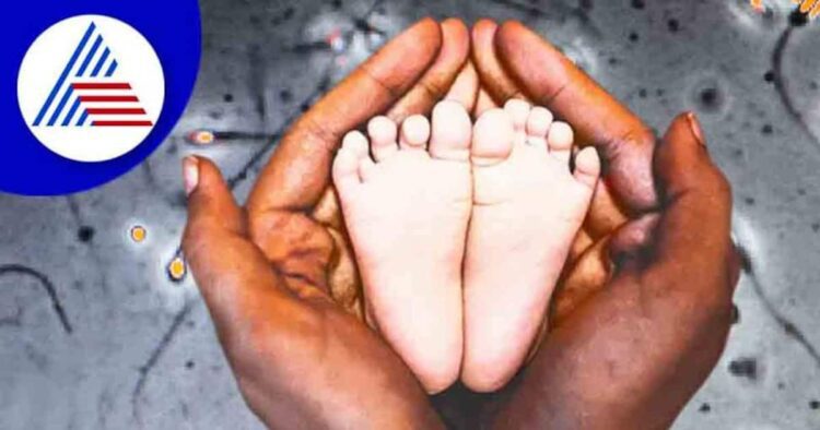 बच्चे की प्लानिंग कर रहे हैं तो आपकी डाइट में जरूर होनी चाहिए ये 7 जादुई चीजें