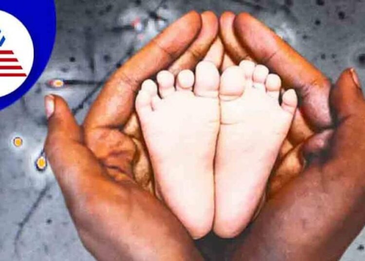 बच्चे की प्लानिंग कर रहे हैं तो आपकी डाइट में जरूर होनी चाहिए ये 7 जादुई चीजें