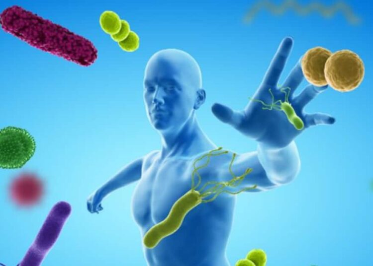 ग्रीन टी से पुदीने के पानी तक…इम्यूनिटी बढ़ाने वाले 10 सीक्रेट ड्रिंक्स