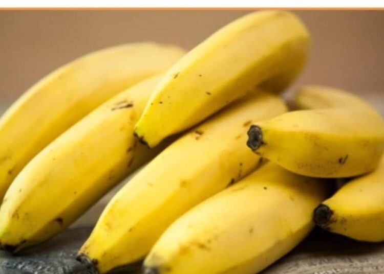 रोज खाएं केला, रहेंगे निरोगी, इसमें छुपे हैं कई राज