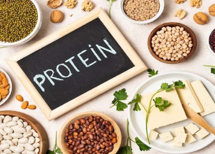 इन शाकाहारी भोजन में होता है भरपूर प्रोटीन, आज ही डाइट में करें शामिल