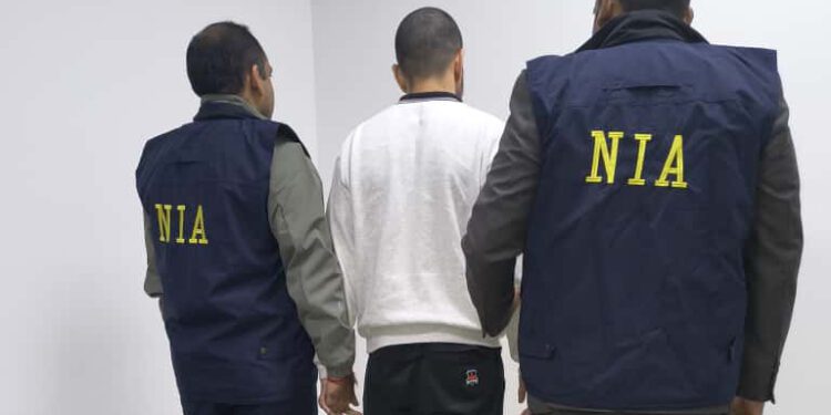 Anmol Bishnoi Deportation News