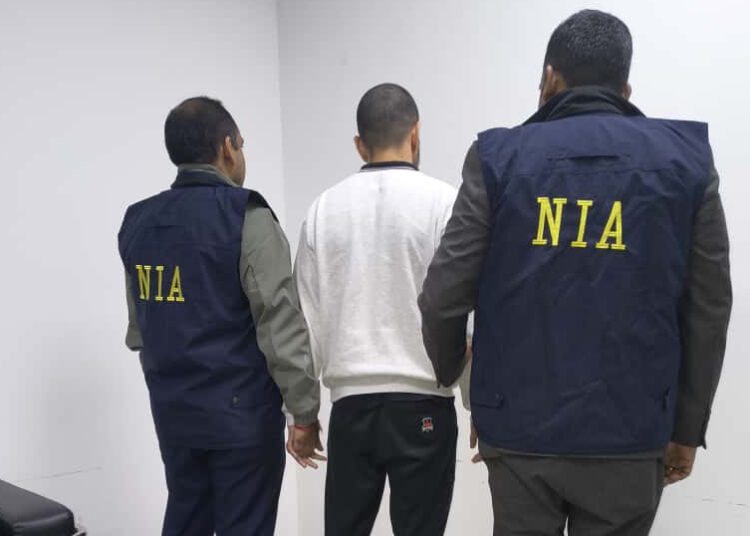 Anmol Bishnoi Deportation News