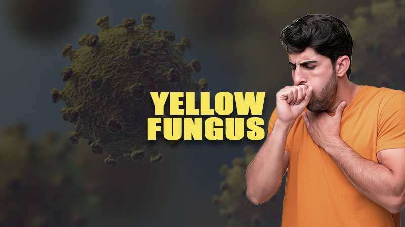 Yellow-Fungus