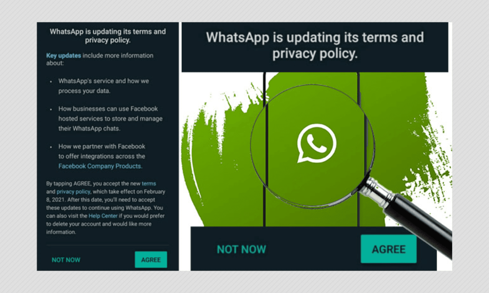 whatsapp policy