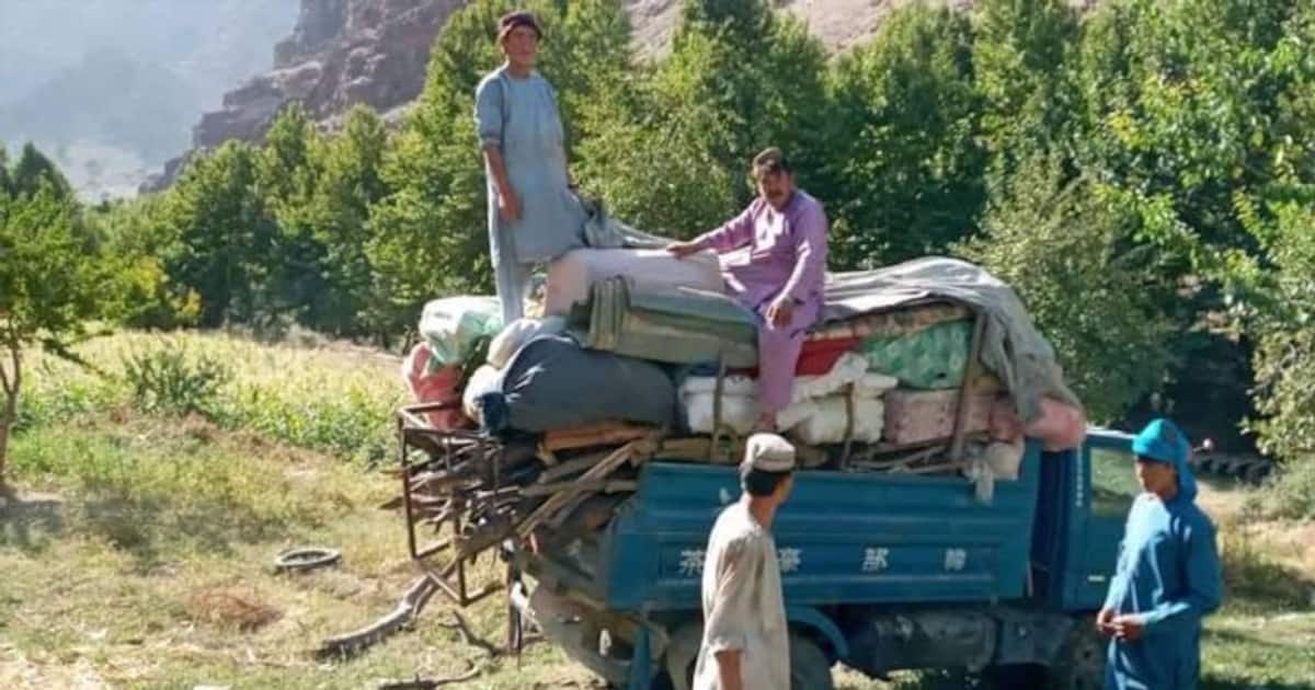 चौंकाने वाला: हजारा खून के प्यासे तालिबान, फिर 13 लोगों को बेरहमी से मार डाला, आईएसआई-के अलग दुश्मन